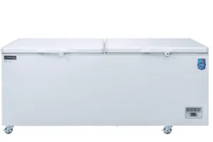 Dukers - BD/BG-620. 71 Chest Freezer With Solid Door